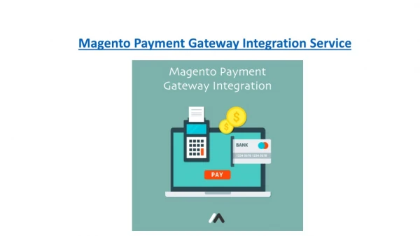 Magento Payment Gateway Integration Service