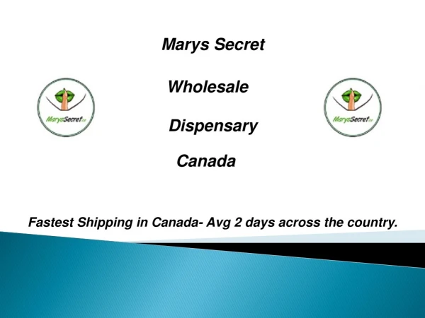 Wholesale Dispensary Canada-Marys Secret