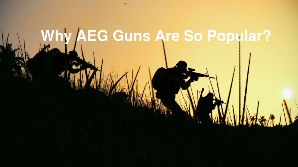 why aeg guns are so popular