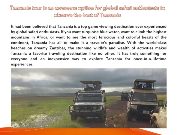 Tanzania tour is an awesome option for global safari enthusiasts to observe the best of Tanzania