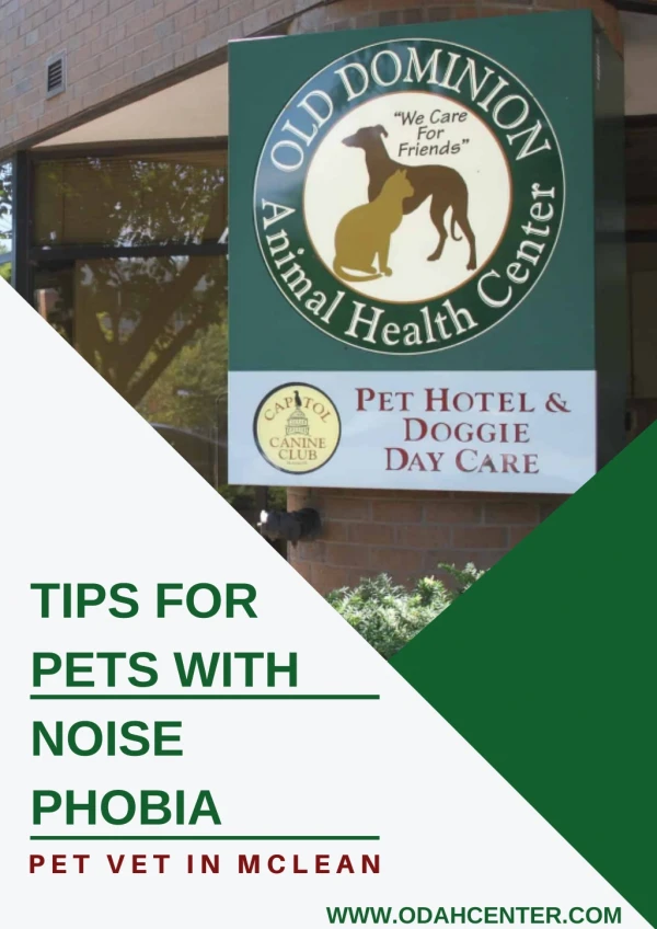 Tip for Pets with Noise Phobia