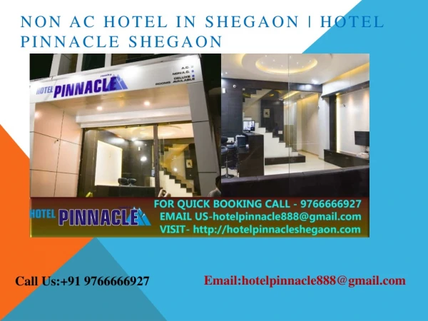 Non Ac Hotel in Shegaon | Hotel Pinnacle Shegaon