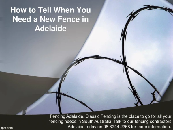 How to Tell When You Need a New Fence in Adelaide