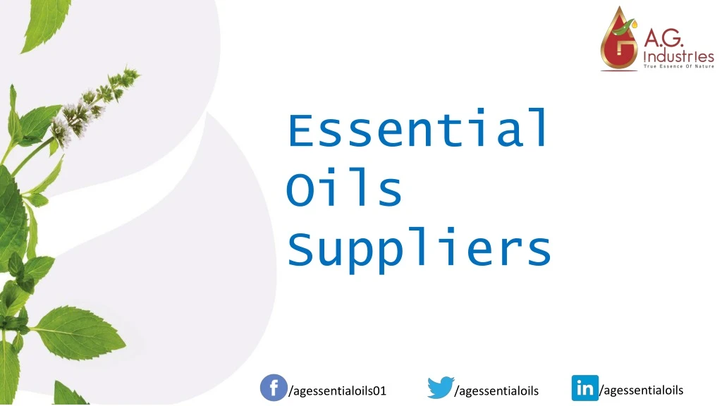 essential oils suppliers