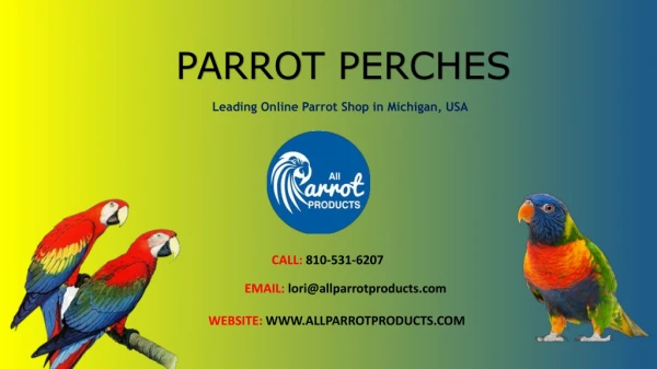 Parrot Perches & Bird Perches For All Types of Birds – All Parrot Products