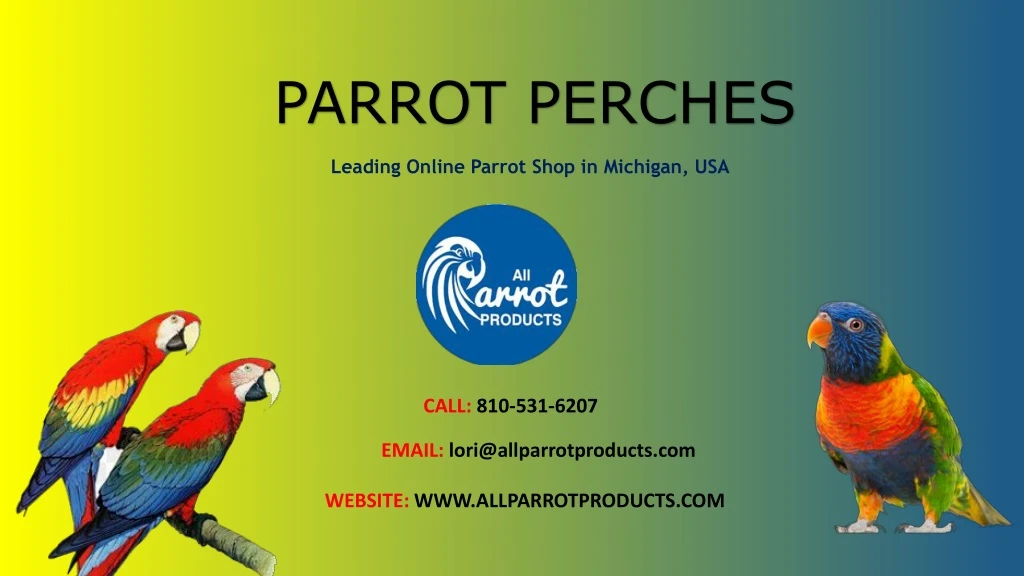 parrot perches