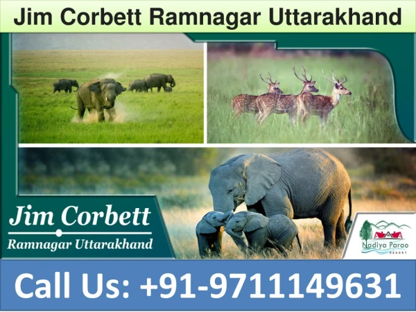 Jim Corbett Ramnagar Uttarakhand