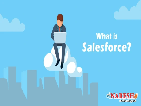 What is sales Force ?