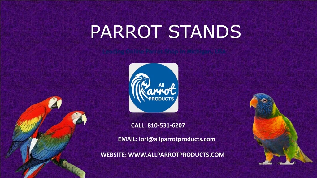 parrot stands