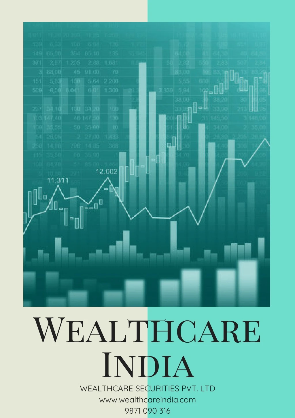 wealthcare india wealthcare securities