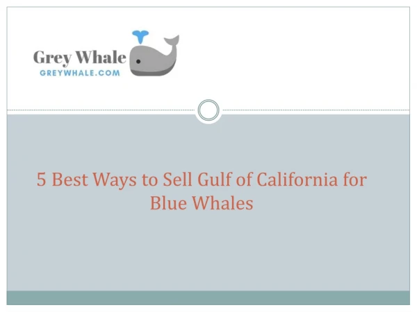 5 Best Ways to Sell Gulf of Galifornia For Blue Whales
