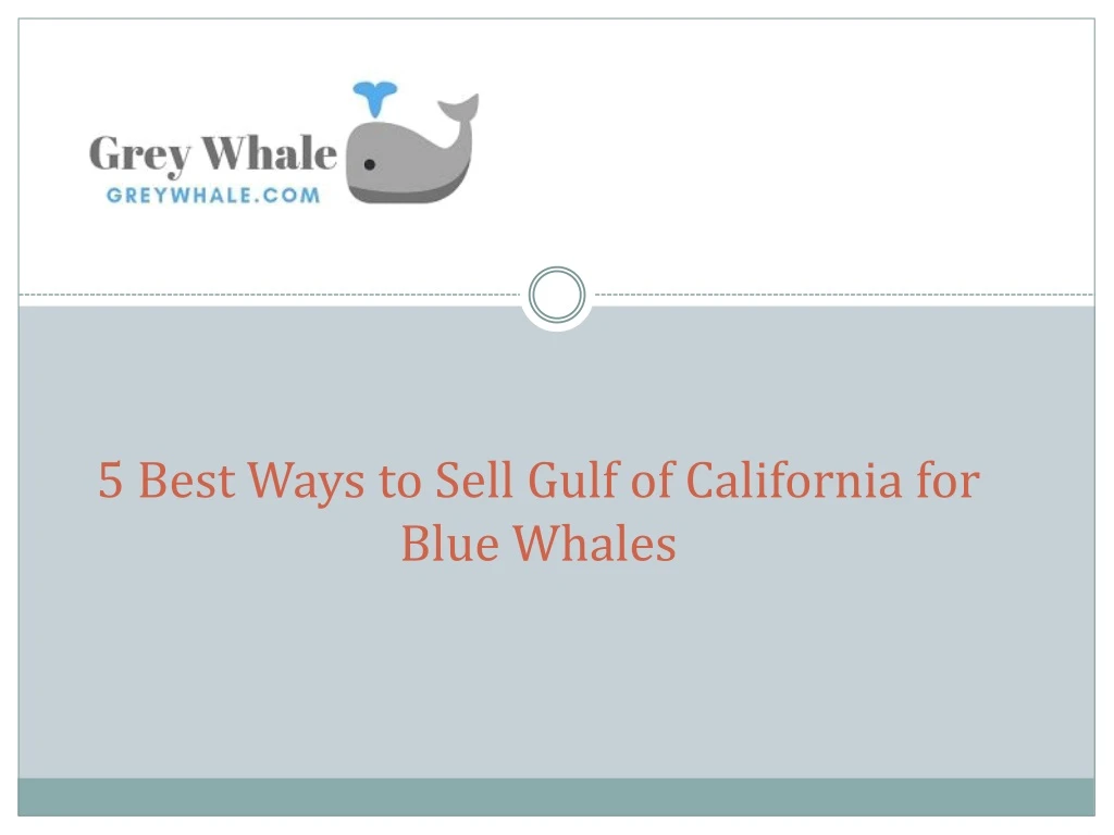 5 best ways to sell gulf of california for blue whales