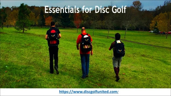 How to Know the Essentials for Disc Golf?