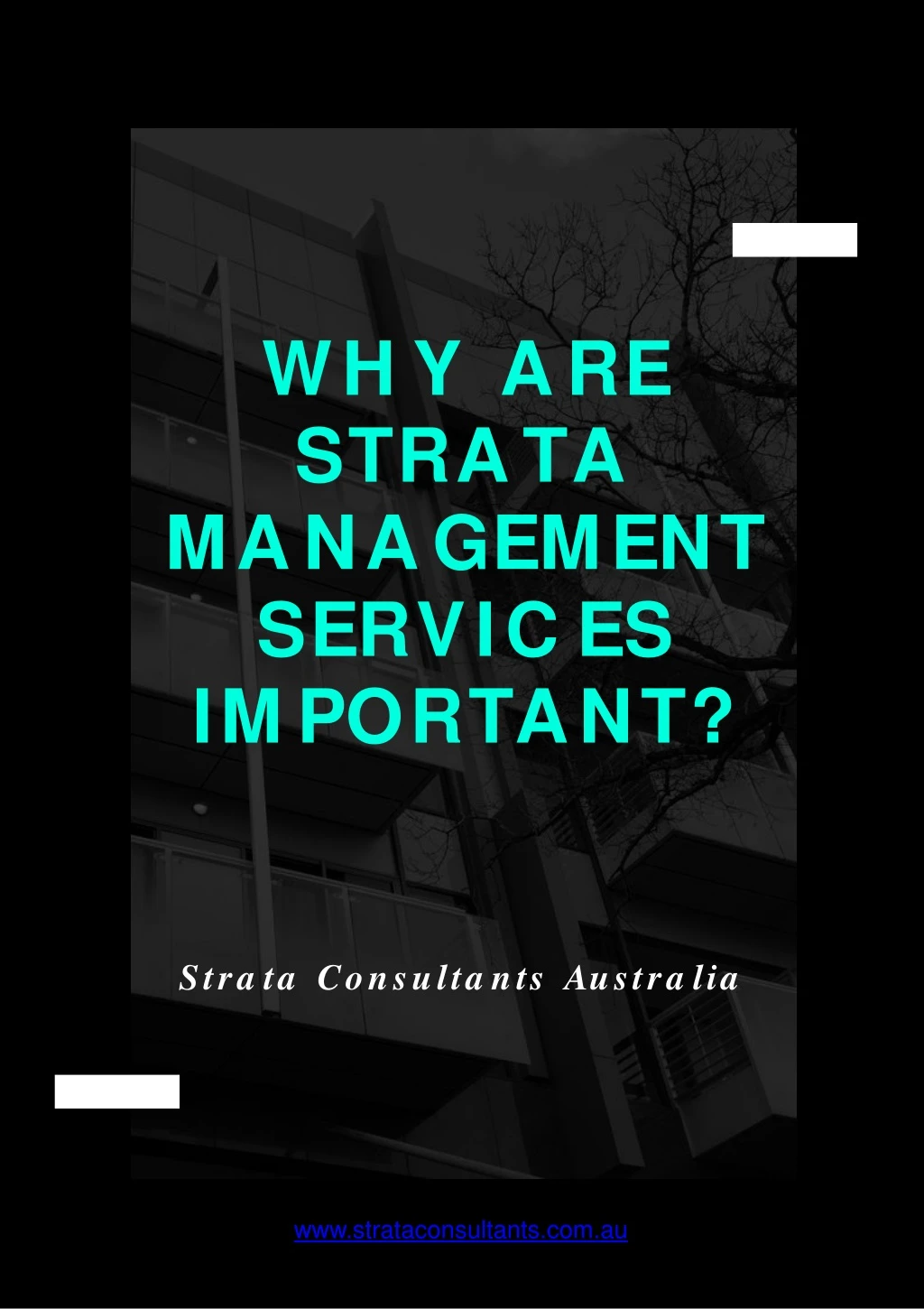 wh y are strata management servic es important