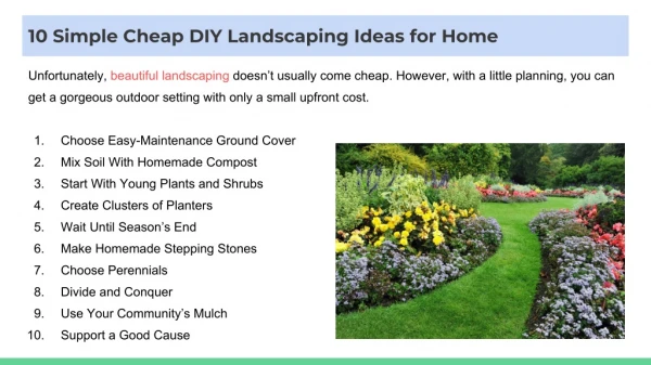 10 Simple Cheap DIY Landscaping Ideas for Home