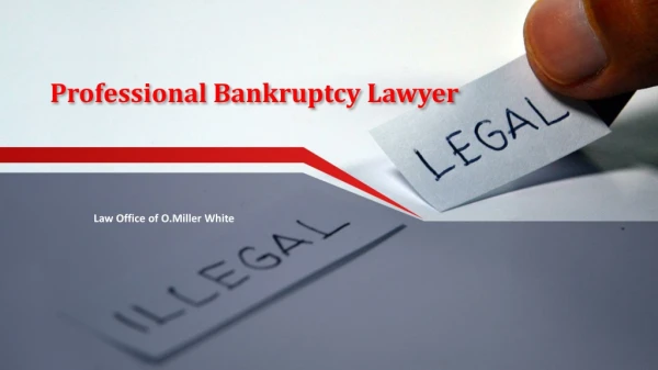 Professional Bankruptcy Lawyer