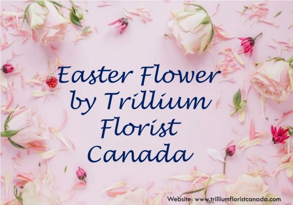 Easter Flowers by Trillium Florist, Inc