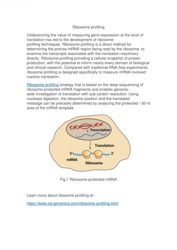 Ribosome profiling