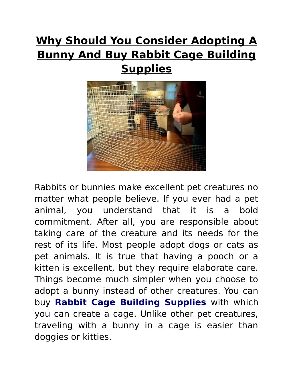 why should you consider adopting a bunny