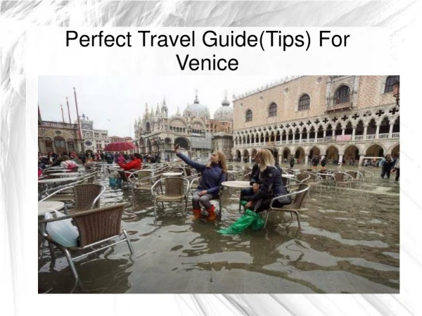 All About Venice