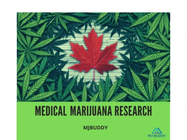 Advanced Marijuana Research Treatment | MJ Buddy