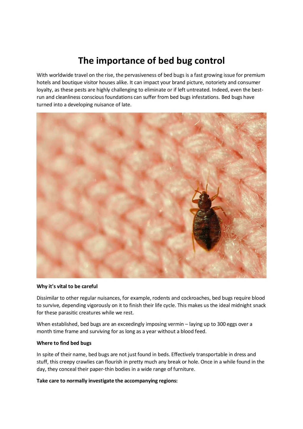 the importance of bed bug control