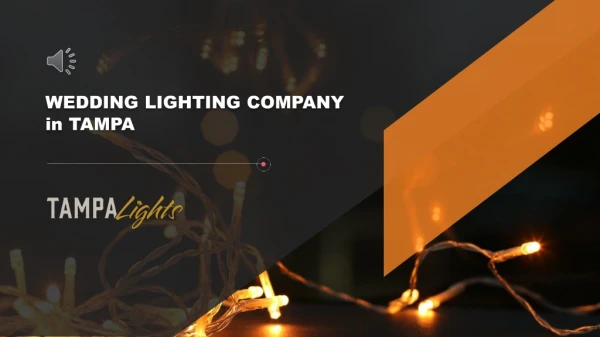 Wedding Lighting Company in Tampa - Tampa Lights
