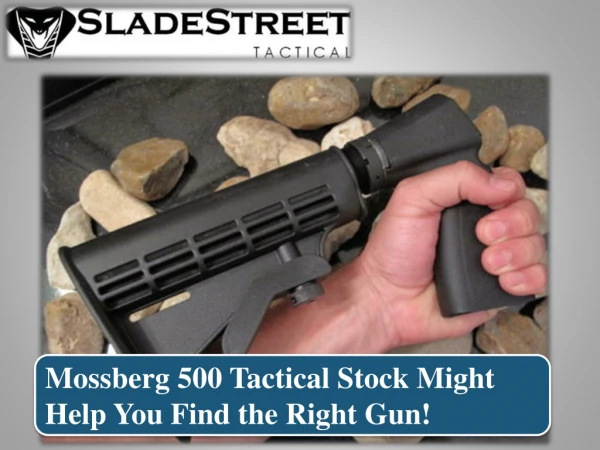 Mossberg 500 Tactical Stock Might Help You Find the Right Gun!