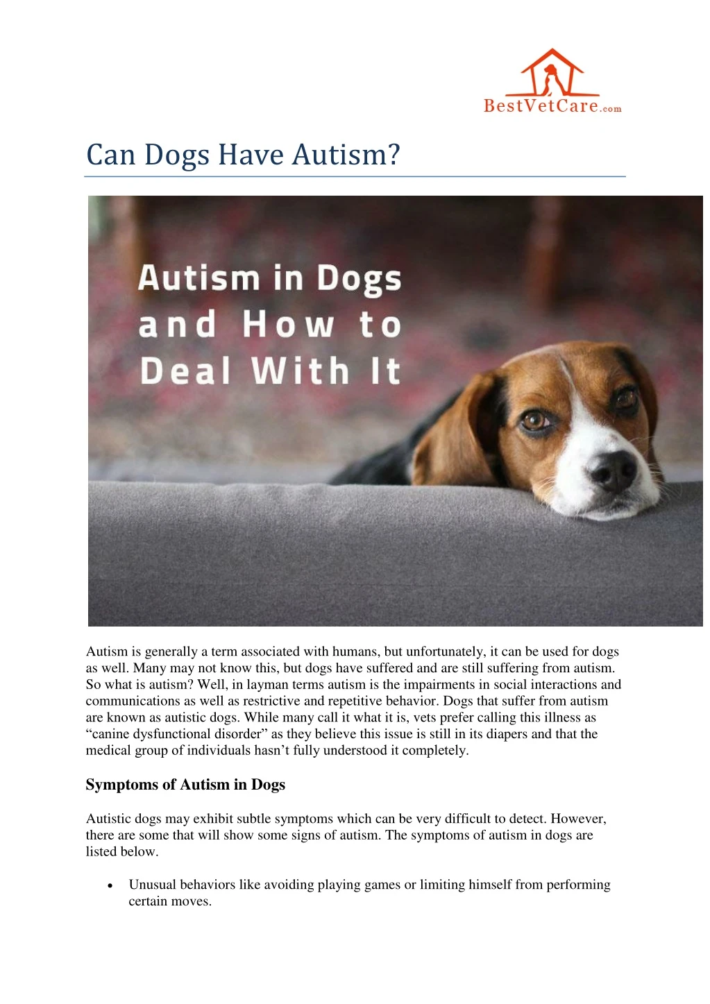 can dogs have autism