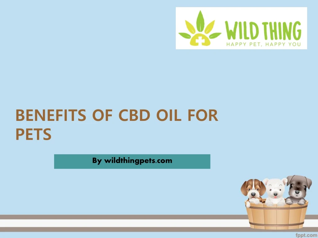 benefits of cbd oil for pets