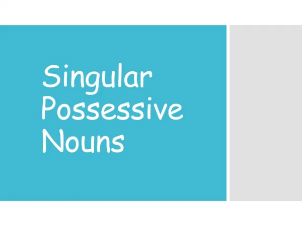 Singular Possessive Nouns