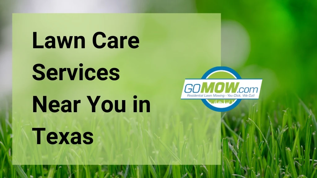 lawn care services near you in texas