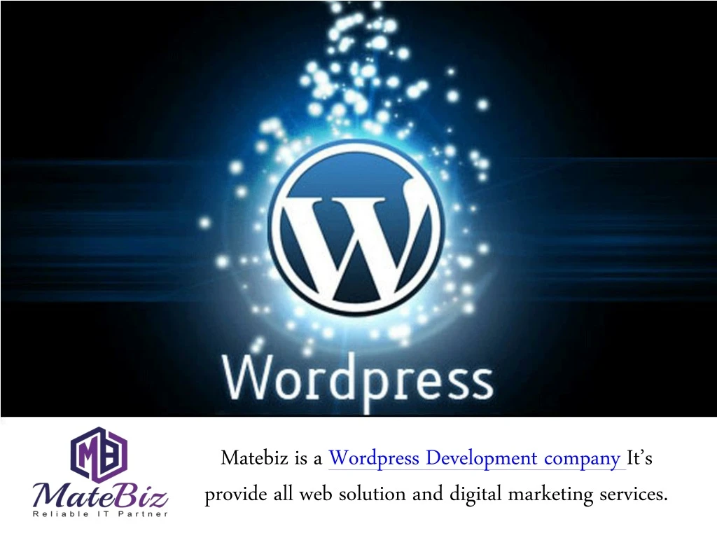 matebiz is a wordpress development company