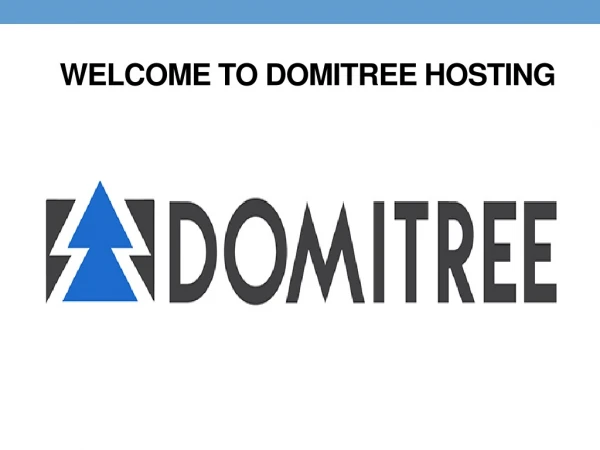 Best Web Hosting Services Provider USA| Domain Hosting Services | DOMITREE