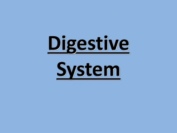Digestive system in human being