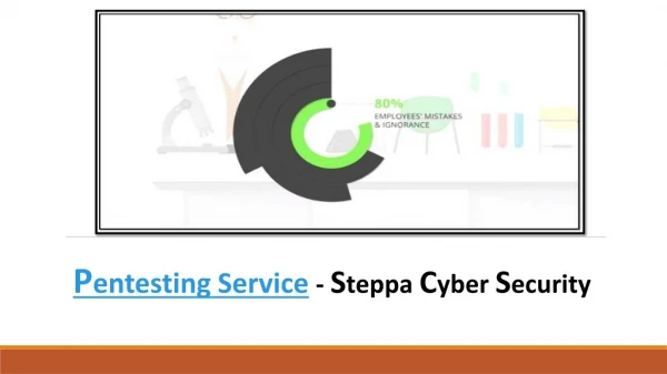 Pentesting Service - Steppa Cyber Security