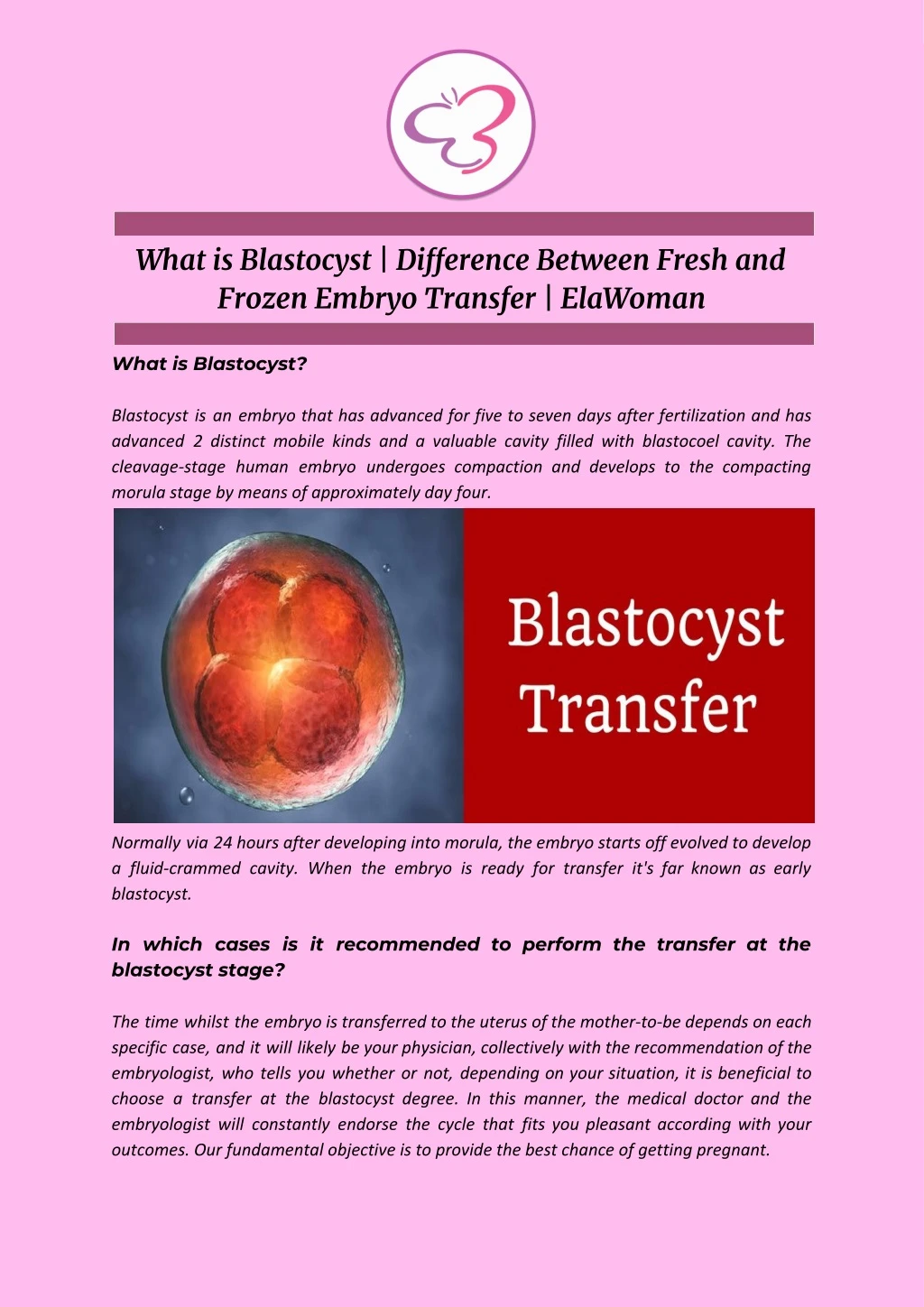 what is blastocyst difference between fresh