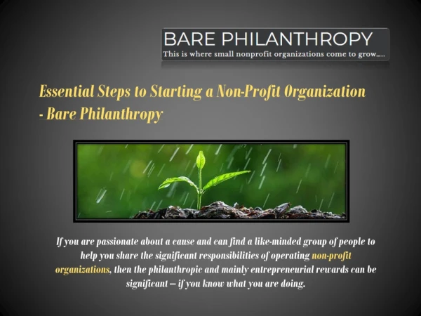 Essential Steps to Starting a Non-Profit Organization - Bare Philanthropy