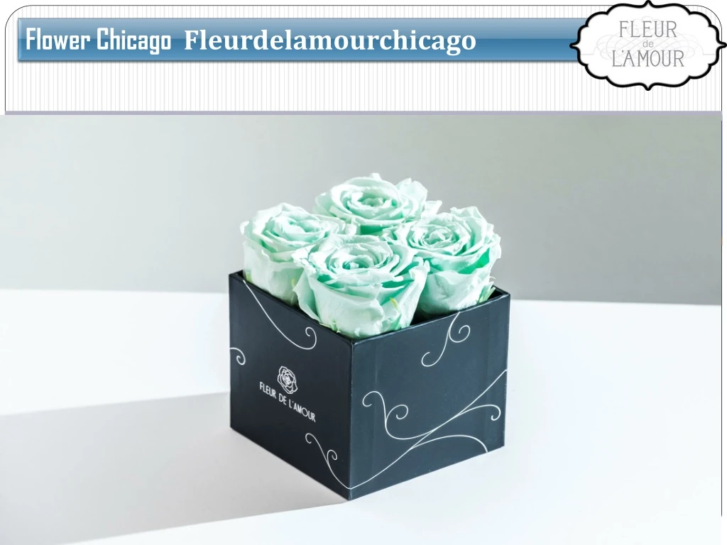 flower chicago fleurdelamourchicago