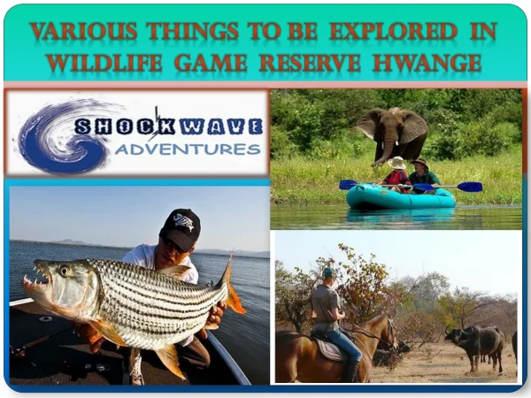 Various things to be explored in Wildlife Game Reserve Hwange