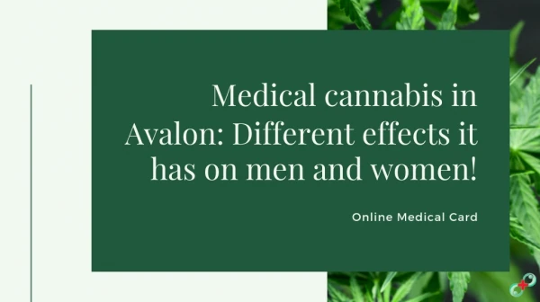 Medical cannabis in Avalon: Different effects it has on men and women!