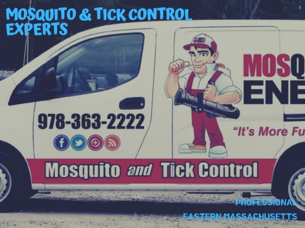Mosquito and Tick Experts Eastern Massachusetts