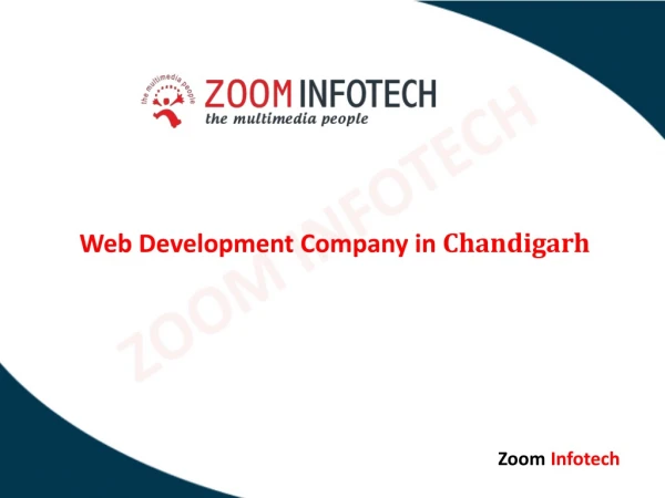 Web Developmwnt company in Chandigarh - Zoom Infotech