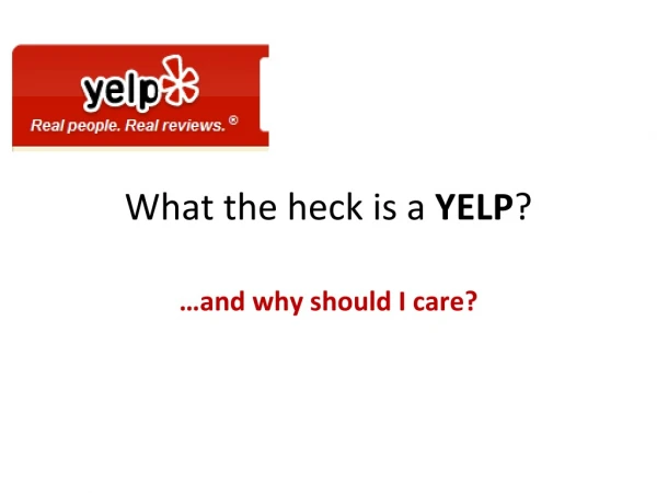 What the heck is a yelp?
