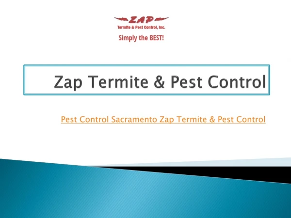 Pest Control Sacramento Zap Termite & Pest Control