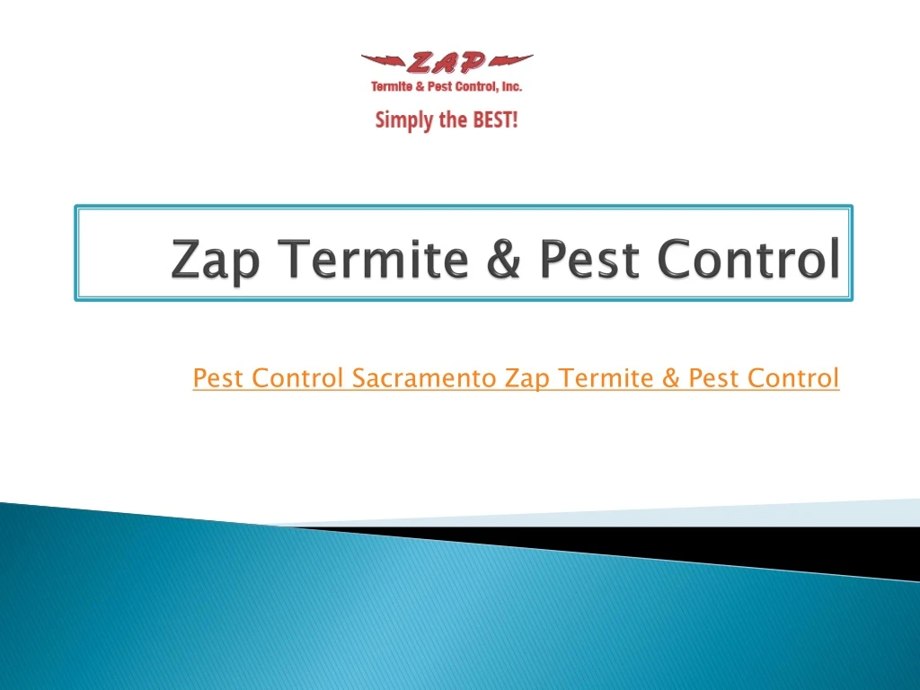zap termite pest control