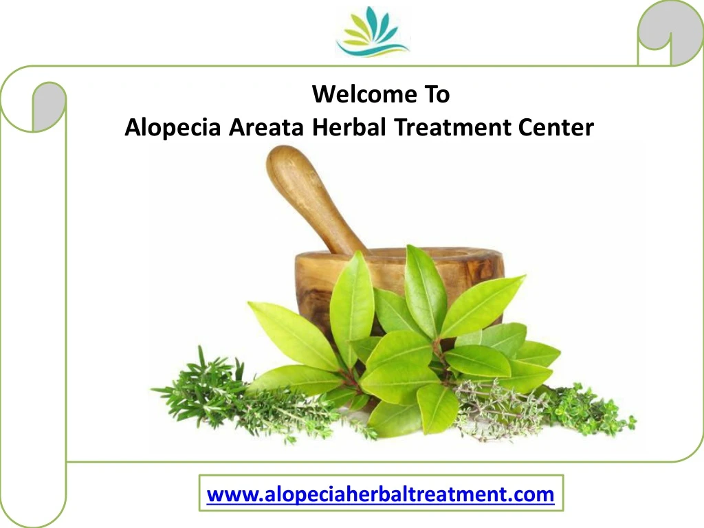 welcome to alopecia areata herbal treatment center