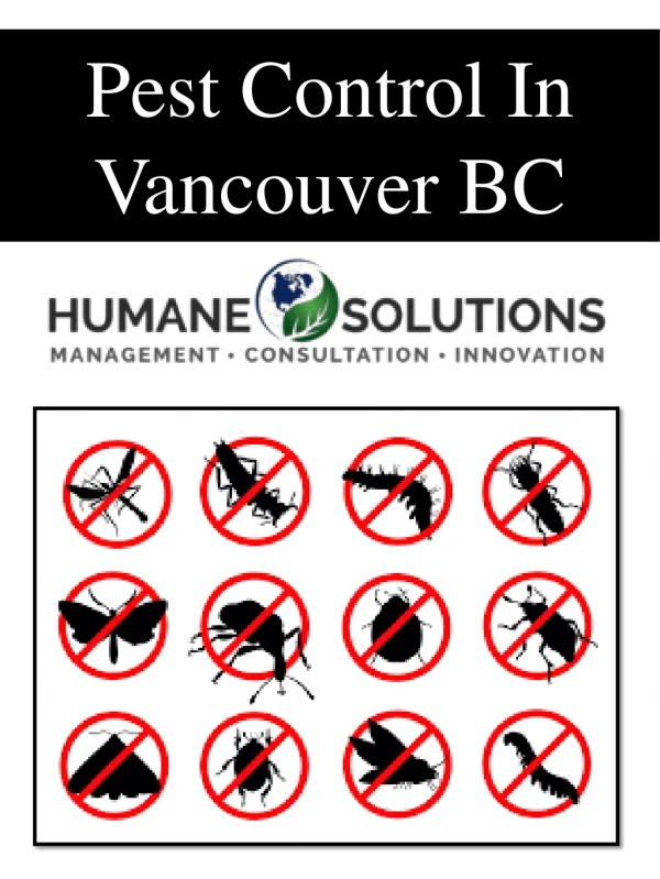 Pest Control In Vancouver BC