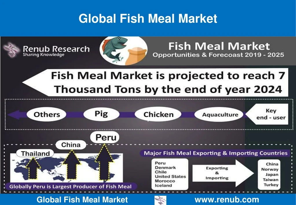 global fish meal market
