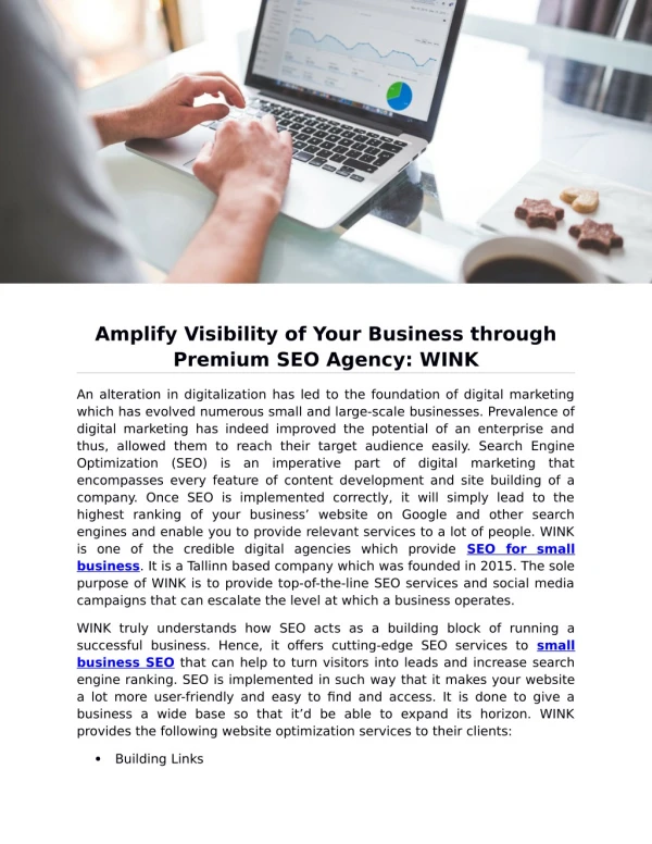 Amplify Visibility of Your Business through Premium SEO Agency: WINK